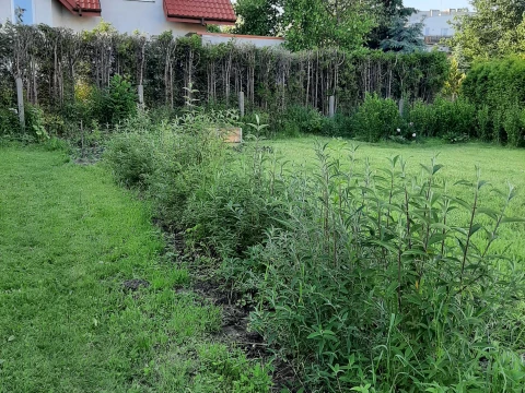 Galeria testowa Maciek