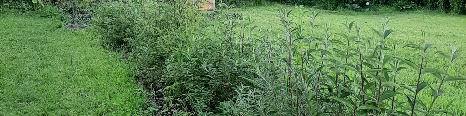 Galeria testowa Maciek