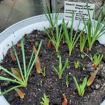 iwtz9rqa_20230225-130436