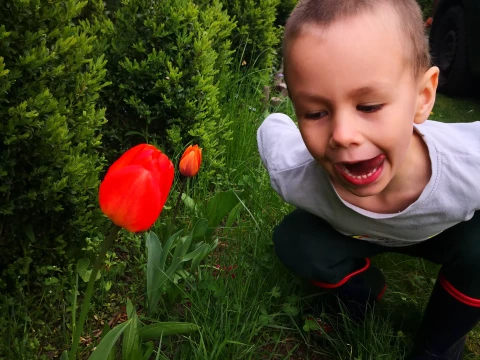 Podjazd historycznie