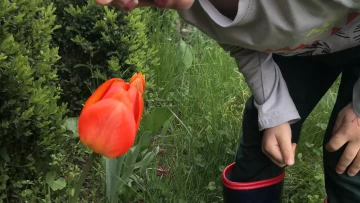 Podjazd historycznie