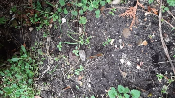 Podjazd w lutym czyli pierwsze wschody