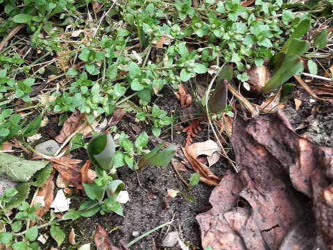 Podjazd w lutym czyli pierwsze wschody