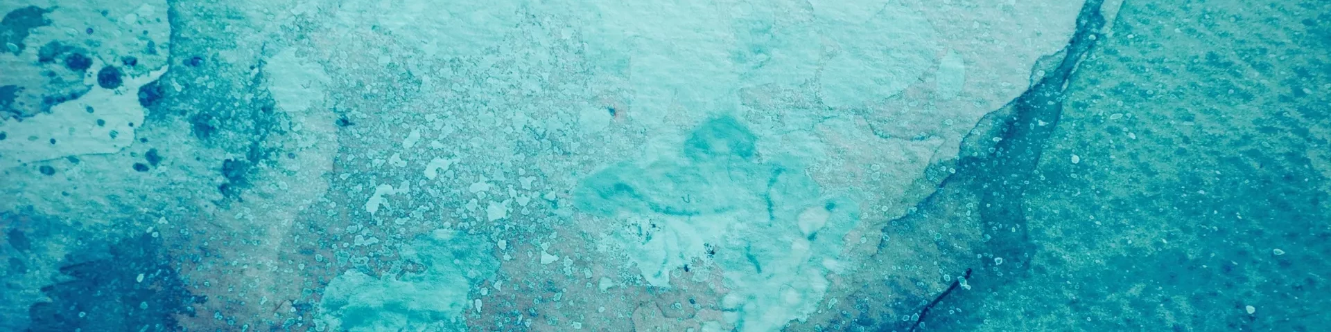 Galeria typu slajder